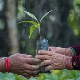 Hands holding a seedling